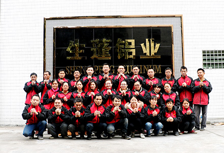 廣東鋁紳仕建材有限公司